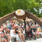 exhibiciones-aves-jungle-park