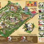 mapa-jungle-9_2021-2-BAJA-1024×508