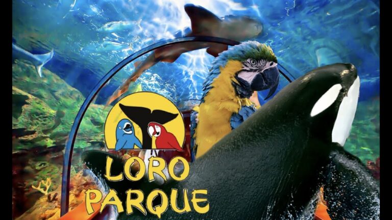 Loro Parque, un paraíso animal en Tenerife